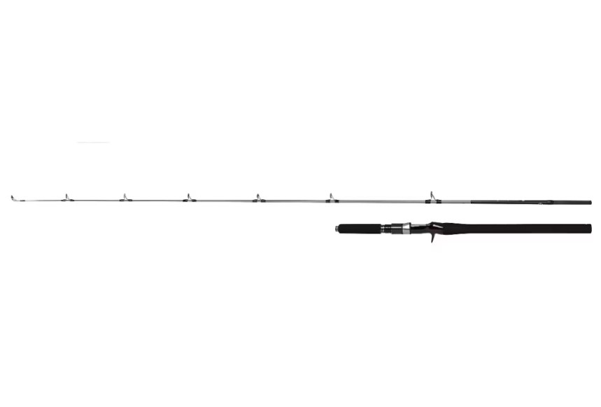 Canna Speedmaster R Jigging Shimano