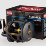 Mulinello Penn Squall Lever Drag a 2 Velocità