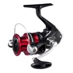 Mulinello da Spinning Sienna FG Shimano