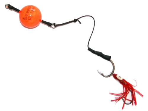 Olympus Cernia Kab Olympus Cernia Kab