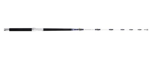 canna pelamis williamson Canna Pelamis Williamson