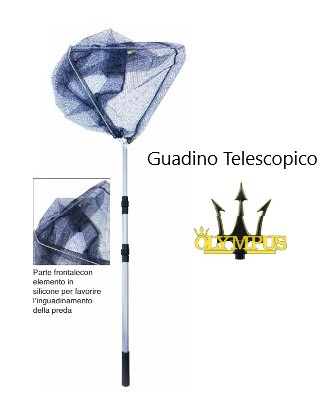 Guadino Telescopico Testa Triangolo